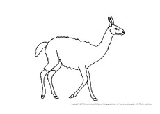 Lama-1.pdf